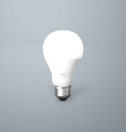 LED Bulbs