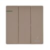 Jaquar Karbonic Gold Finish 1 Way 16AX Electrical Switch – Front View