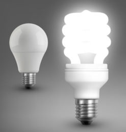 Bulbs & Tubes