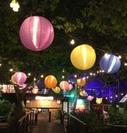 Outdoor Lights